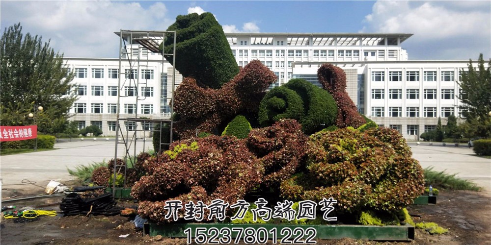 遼寧省交通高等專科學校五色草造型